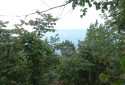 SATILIK BAHÇE 372 M2