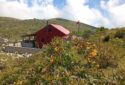 SATILIK YAYLA EVİ