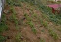 SATILIK YAYLA EVİ