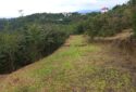 SATILIK 4.250 M2 BAHÇE